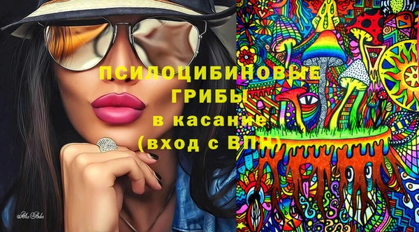 эйфоретик Надым