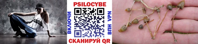 Псилоцибиновые грибы GOLDEN TEACHER  Купить где  Железноводск 