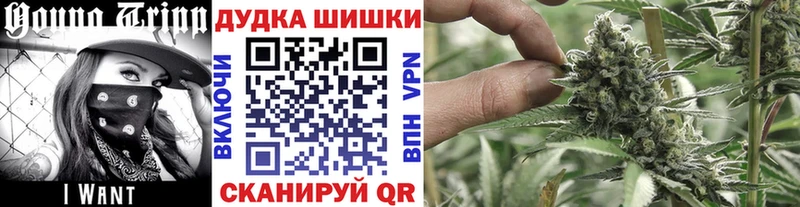Бошки Шишки Amnesia  Купить где  Железноводск 